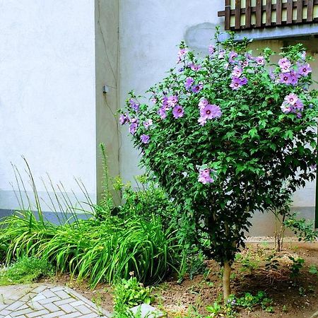 Room In City Center Halle With Shared Bathroom & Kitchen - Free Wifi, Netflix, Ipad & Ground Floor Exterior photo